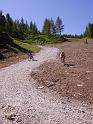 DOLOMITI2009 (392)